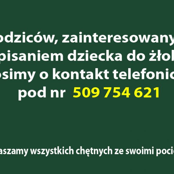 rekrutacja żłobek